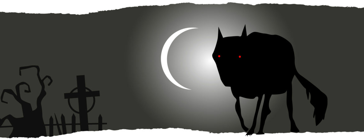 Dog Halloween Costume Reviews